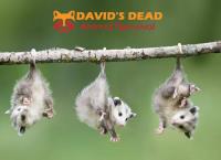 David's Dead Possum Removal Hobart image 3